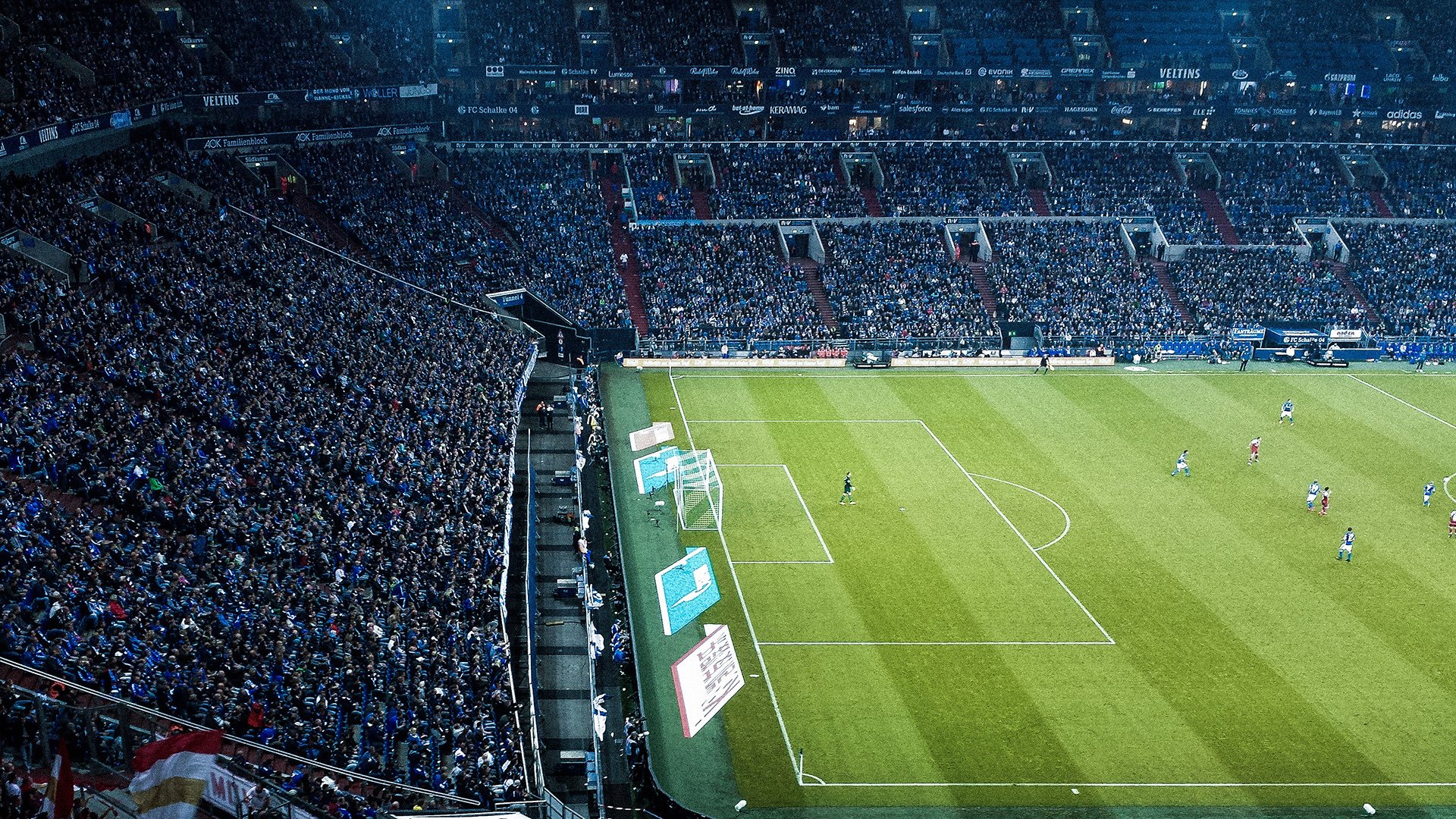 场馆升级改造完成新引入灯光与音响系统提升赛事氛围,场馆建设